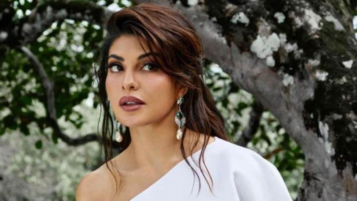 Jacqueline Fernandez Sukesh Money laundering case know what Enforcement directorate said in the Court