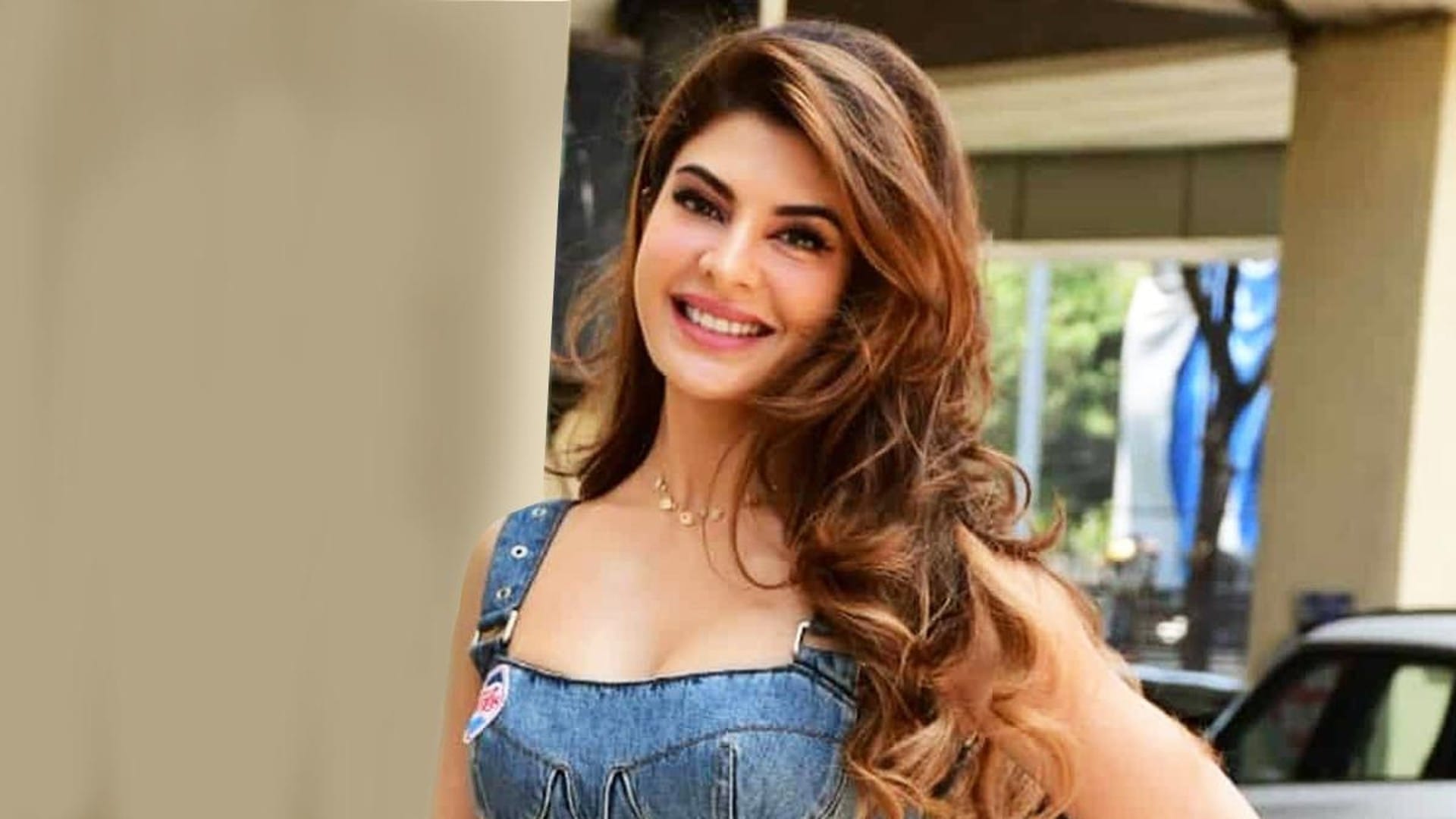 Jacqueline Fernandez Sukesh Money laundering case know what Enforcement directorate said in the Court