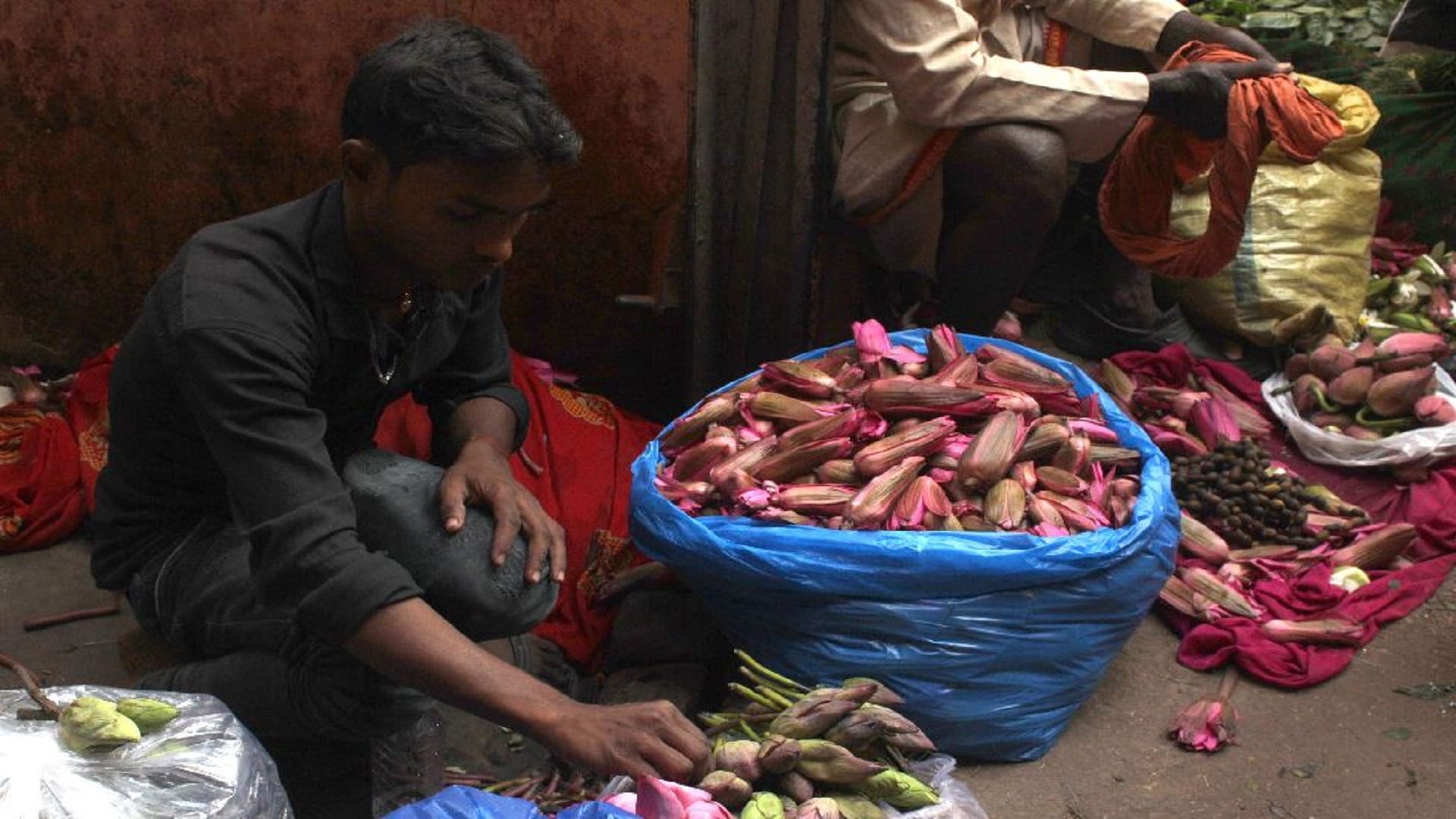 Photos demand for lotus of Kolkata while the marigold flower price increased