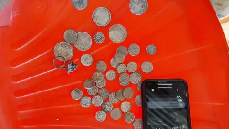 Kuno National Park: 42 ancient coins found in excavation