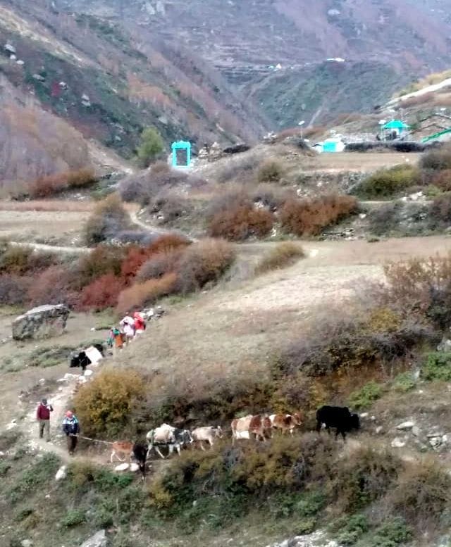 People started returning to low-lying areas on migration