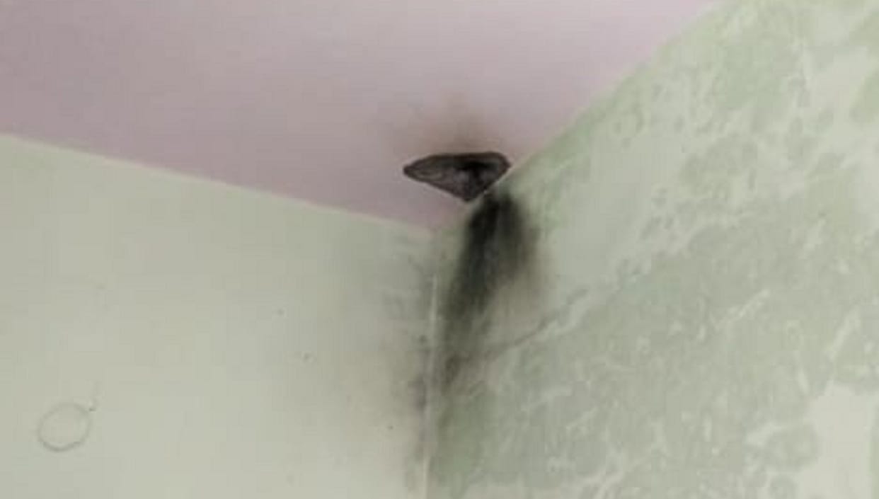 The woman who was drawing water from the tank on the roof got scorched by the high tension wire, the girl playing in the house died of electric shock
