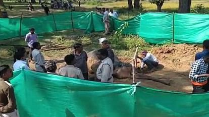 सूरजपुर में मादा हाथी की मौत का सही कारण जानने के लिए पोस्टमार्टम रिपोर्ट का इंतजार किया जा रहा है।