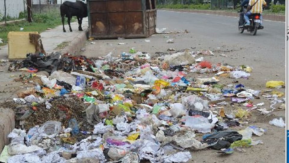 agra people are troubled by the dirt befor diwali 2022