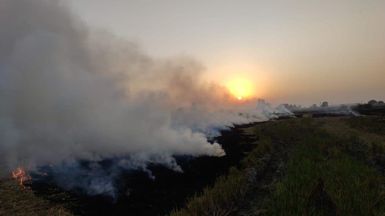 Stubble burning again, AQI reaches 200 before Diwali