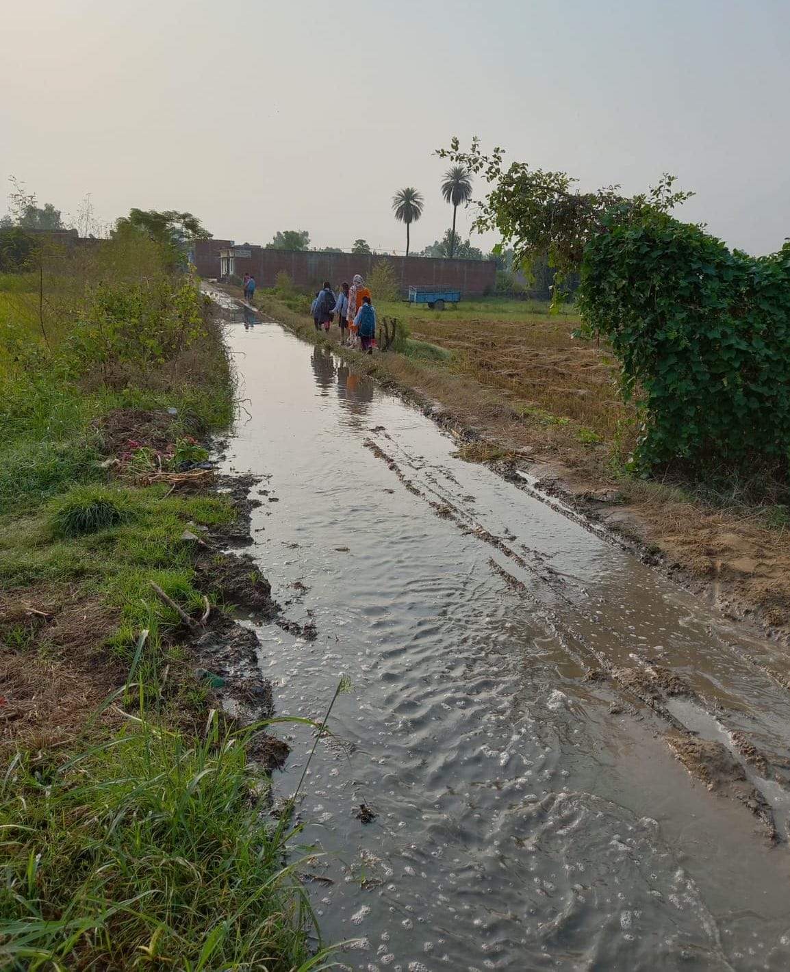 Flowting Water in Banskhedi Road