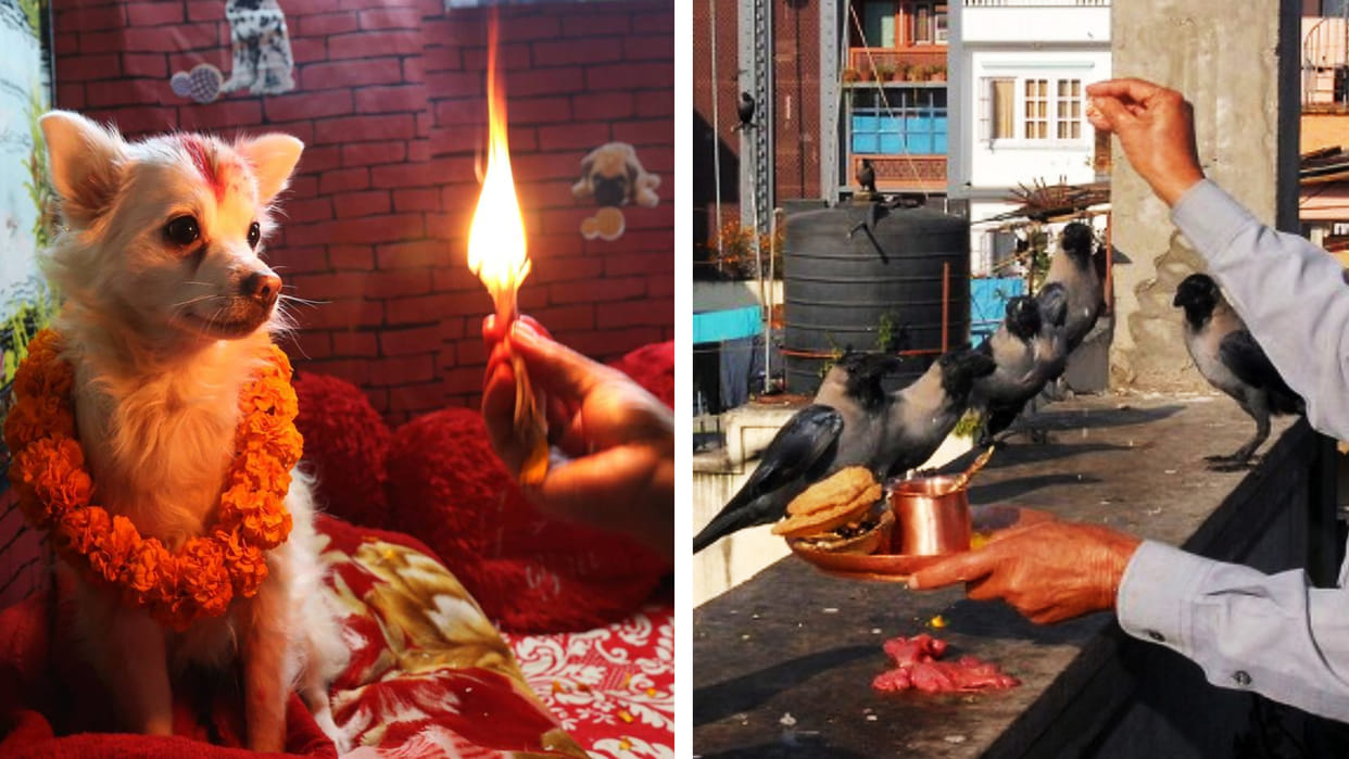 Nepalese community celebrating five day Tihar festival in north eastern states