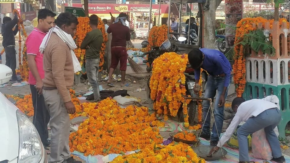 Diwali 2022 Genda phool Marigold rate rs 120 per kg in agra
