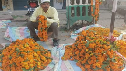 Diwali 2022 Genda phool Marigold rate rs 120 per kg in agra