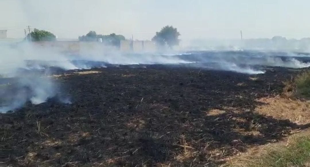 Stubble burning at 75 places in district in three days