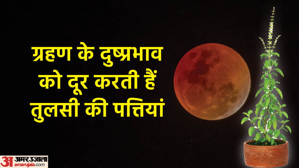 Surya Grahan Use of Tulsi in food on Sutak time in Hindi