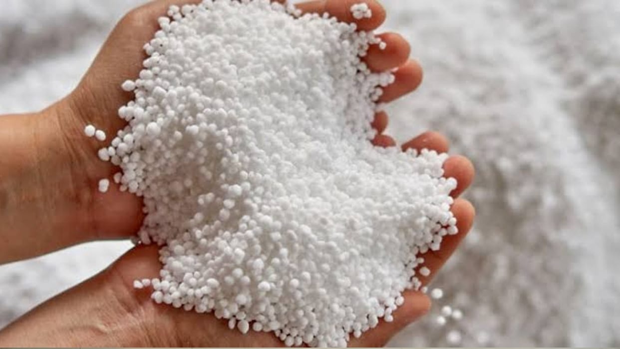 Fertilizer distribution to farmers started in Chhatarpur, will be able to talk to officials in case of trouble