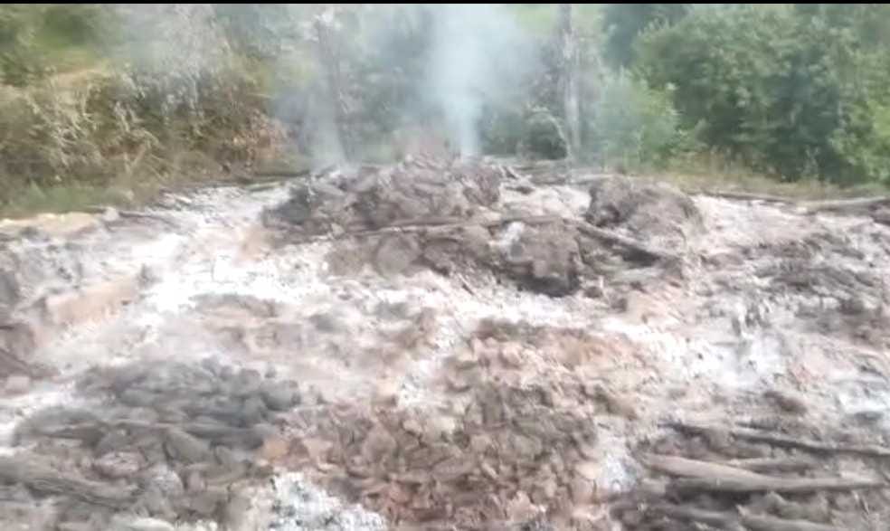 Champawat News: Case of Fire in Pareva Village Reetha Sahib