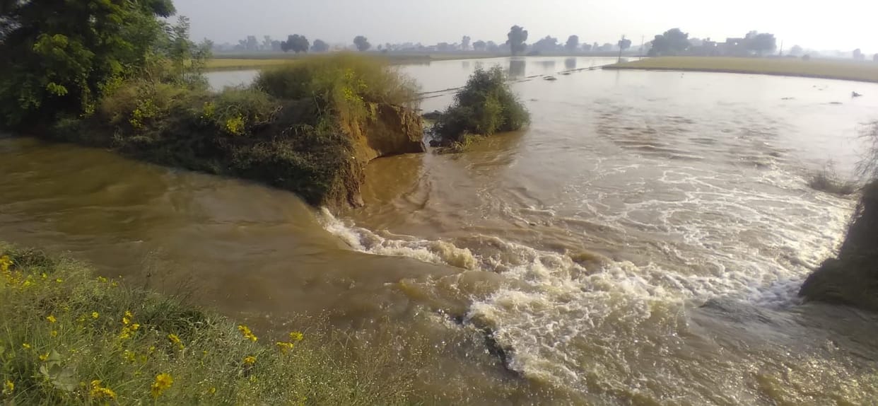 Broken canal near Mithanpura, water filled in 400 acres