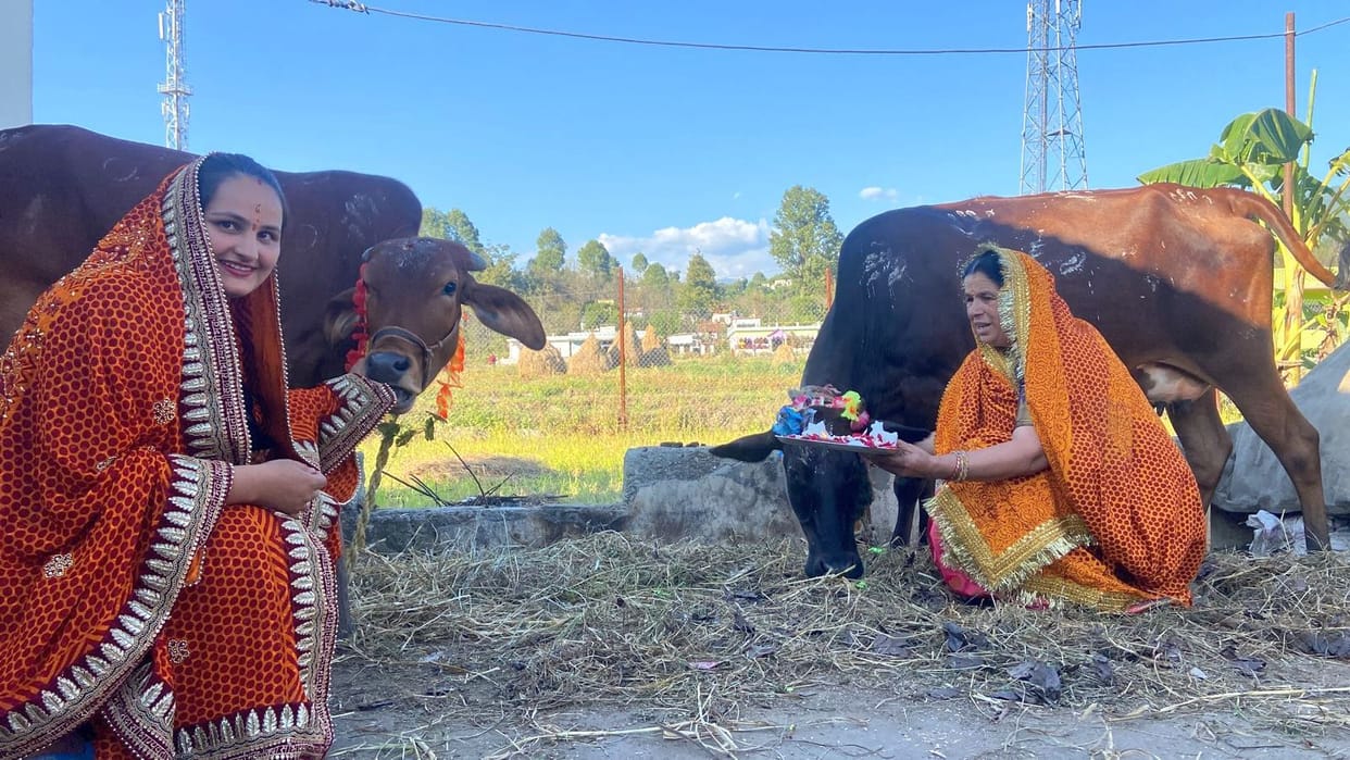 Worship by making Govardhan mountain in the district