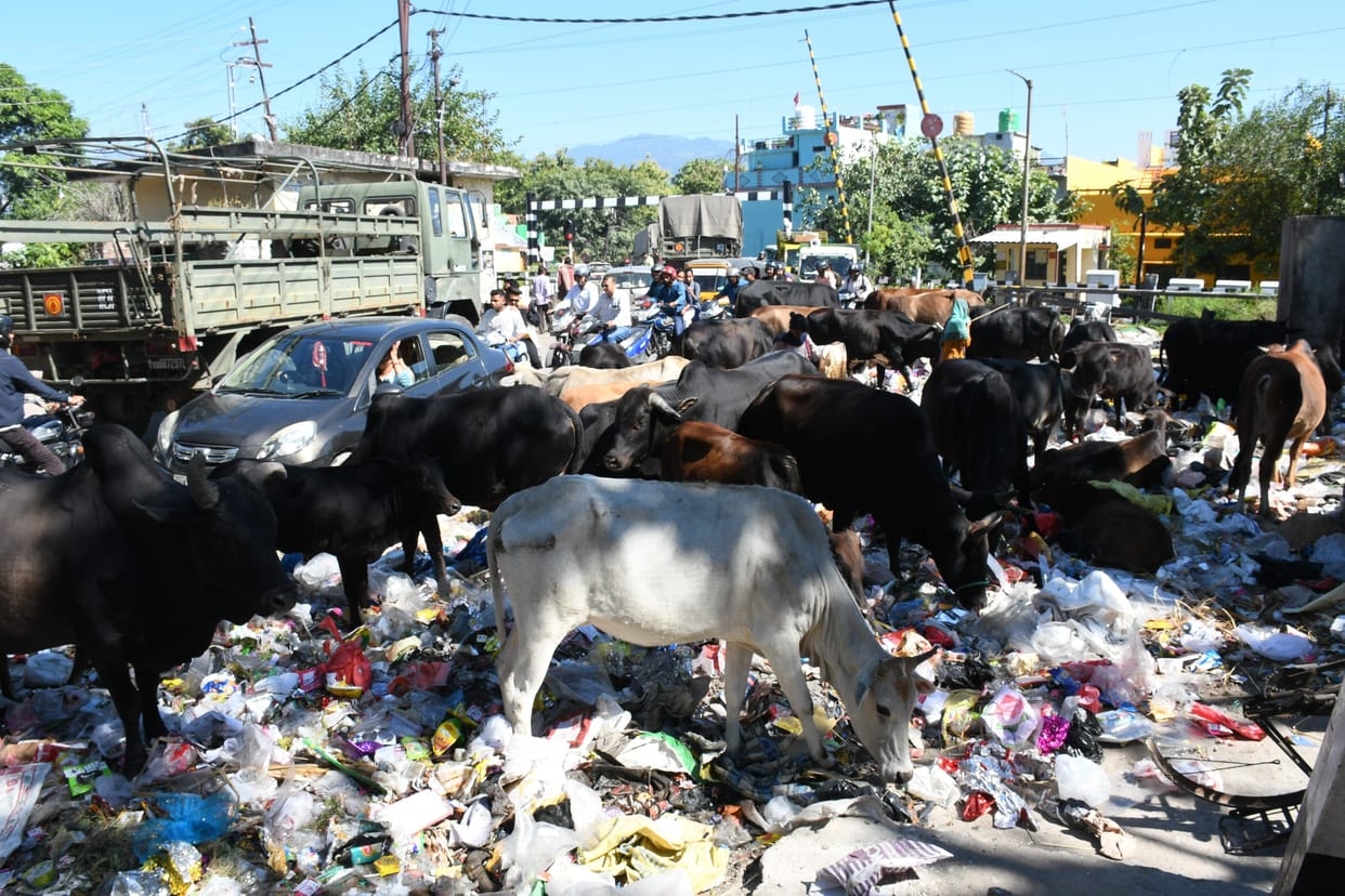 Haldwani's cleaning system falters due to two days off