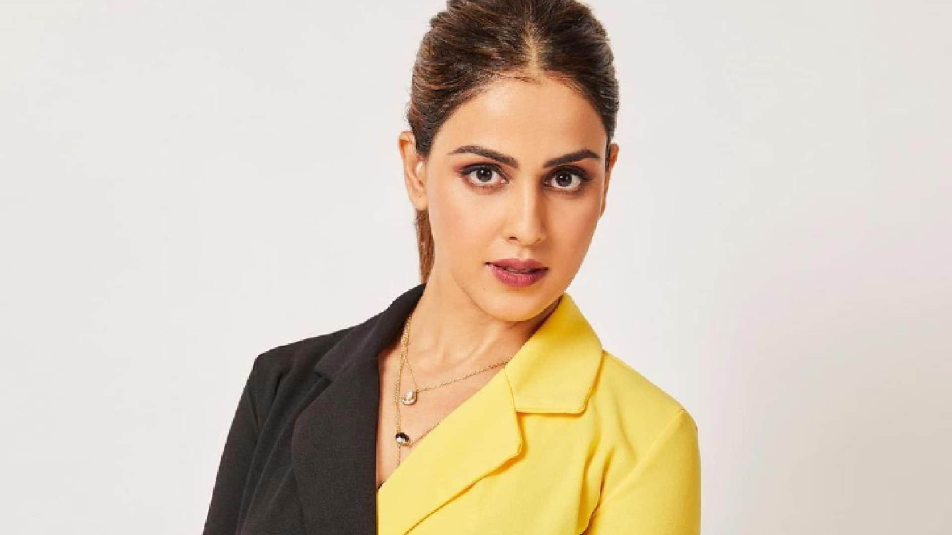 Genelia D'Souza debut in Marathi cinema with Riteish Deshmukh directorial debut ved poster released