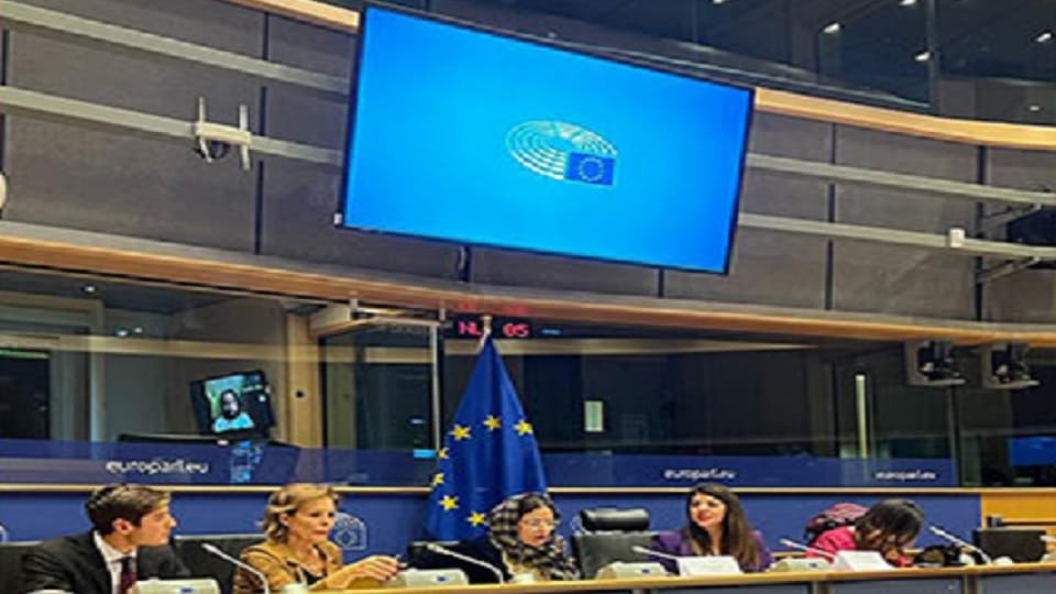 Kashmiri politicians brief EU Parliamentarians on empowering grassroots democracy