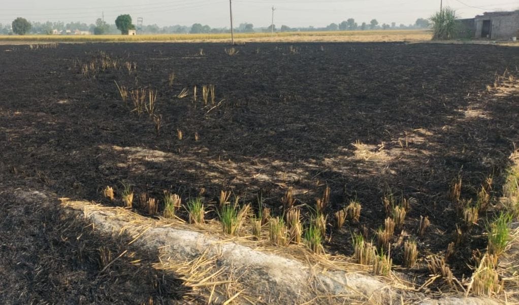 Stubble burning at 27 places in Fatehabad, 10 farmers fined