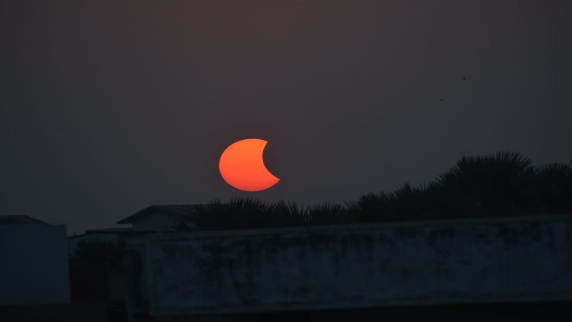 photos Surya grahan 2022 People of Varanasi witnessed the last solar eclipse of the year amazing pictures