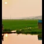 village
