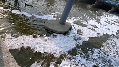 Yamuna Pollution: हरियाणा से आ रहे अमोनिया को साफ करेगी दिल्ली सरकार, वजीराबाद पर लगाया जाएगा शोधक संयंत्र यमुना नदी