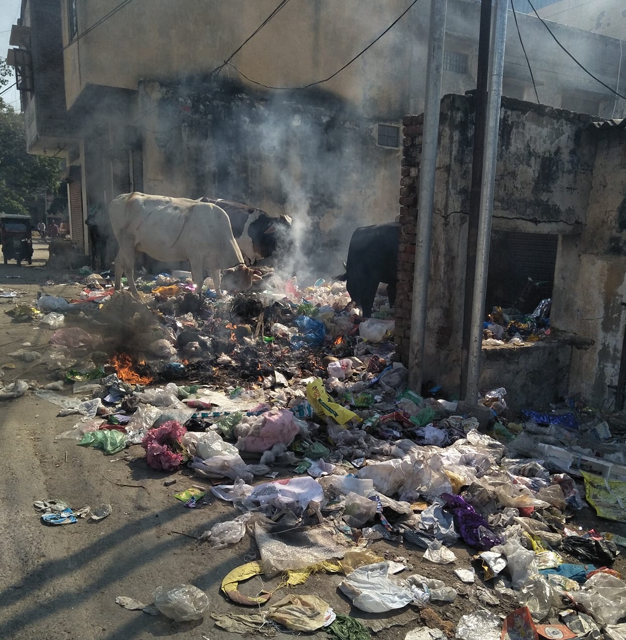 After Diwali, the climate becomes toxic, it is difficult to breathe