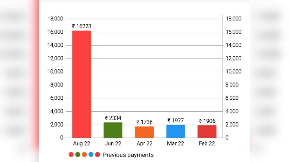Smart electricity meters installed in many areas of Chandigarh running at higher speed