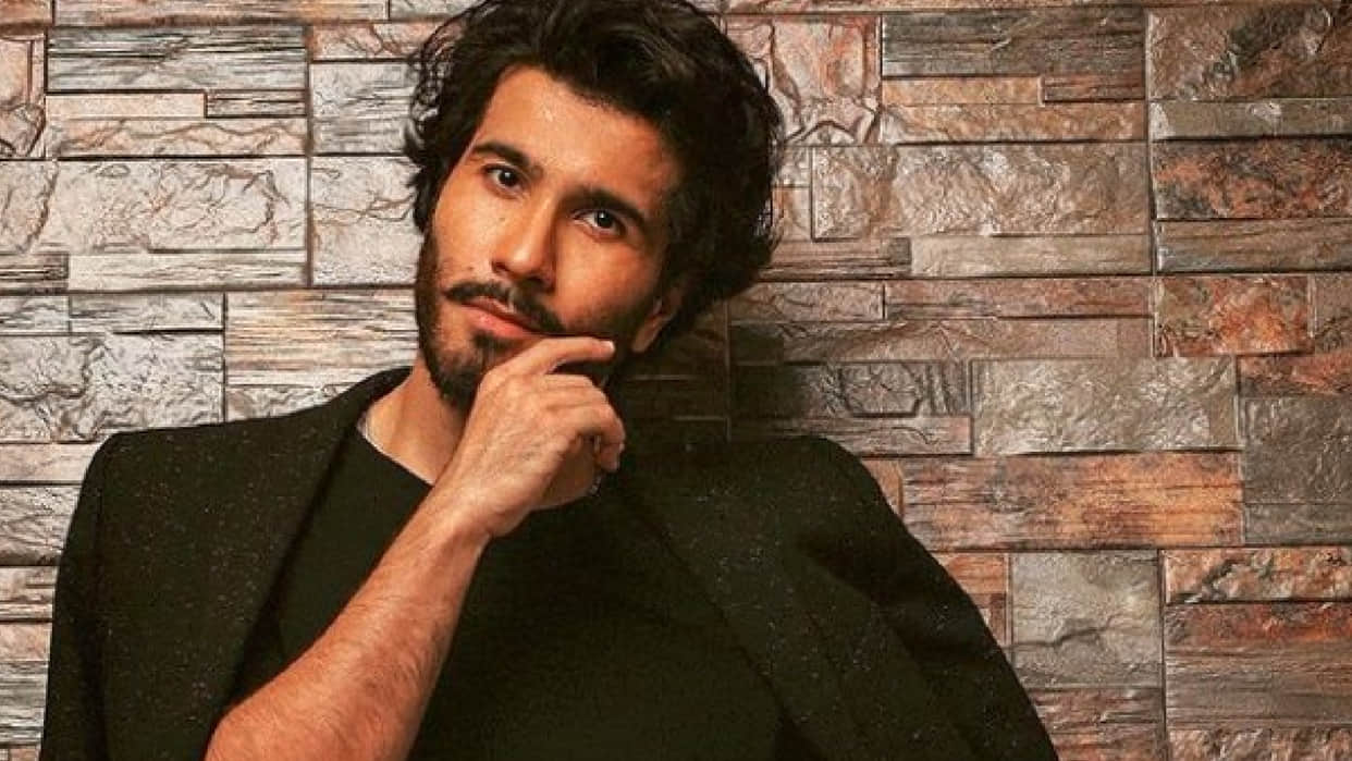 Pakistani celebs demands ban for feroze khan domestic violence against wife syeda aliza