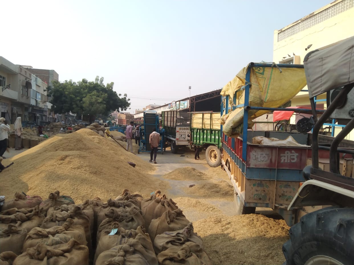 Wheat sowing early, paddy arrival in mandis increased