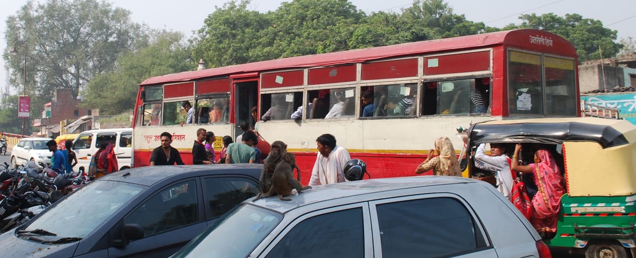 Hathras: Buses continued to have jam breaks throughout the day