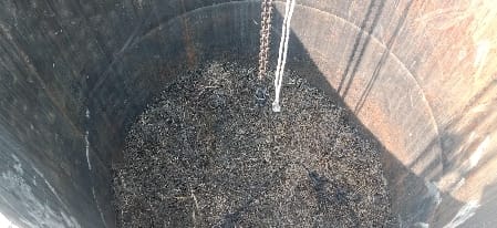 The farmer entered immediately after opening the lid of the mentha tank