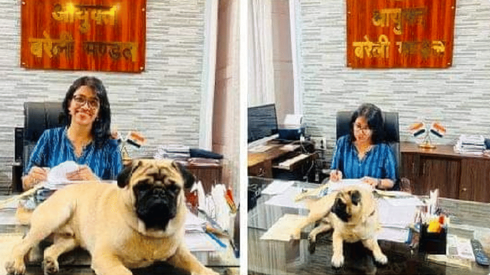 Bareilly Commissioner photo with dog went viral if trolled then deleted the post from Twitter