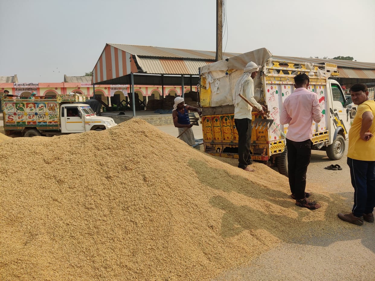 Purchase of 36 quintals of paddy at 1 center in 27 days
