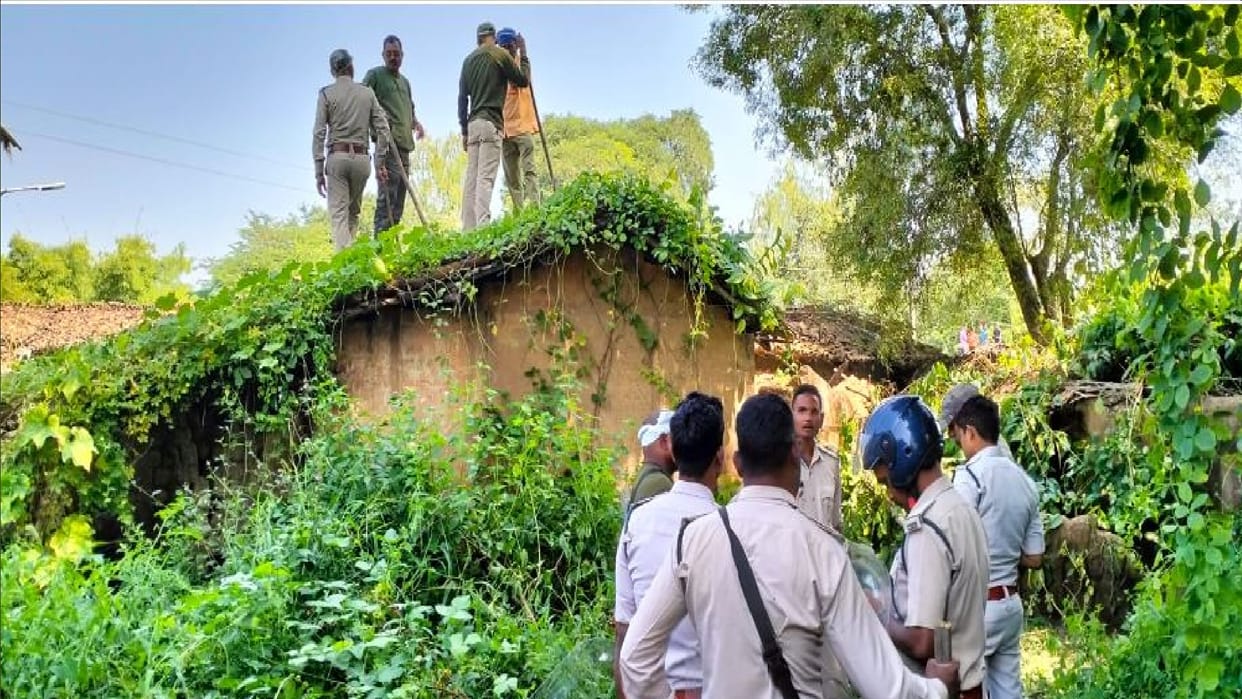 Leopard entered a house in Kanker, Chhattisgarh, police and forest department team on the spot