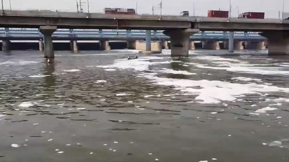 Why is polluted foam seen in Yamuna every year