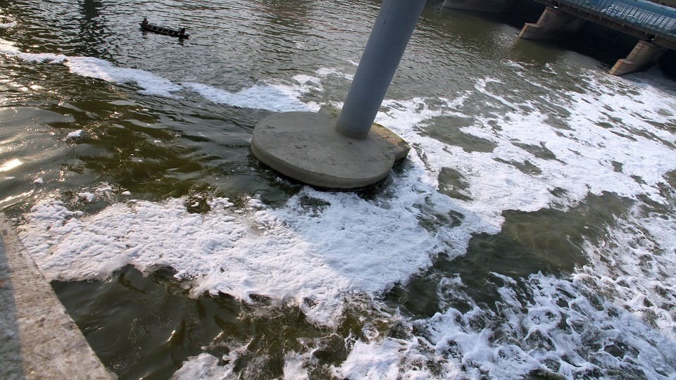 Why is polluted foam seen in Yamuna every year