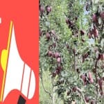 विधानसभा चुनावी मुद्दा।