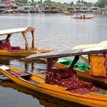 kashmir