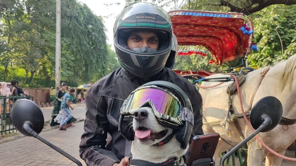 Malayalam actor Akshay made amazing helmet for dog see taj mahal