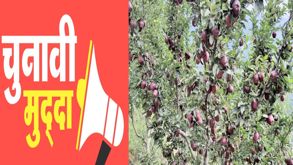himachal election 2022 issue: The issue of import duty on foreign apples not resolved even after a decade