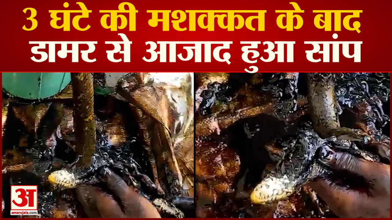 मध्य प्रदेश