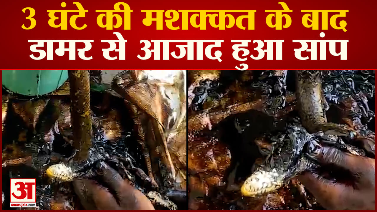 मध्य प्रदेश