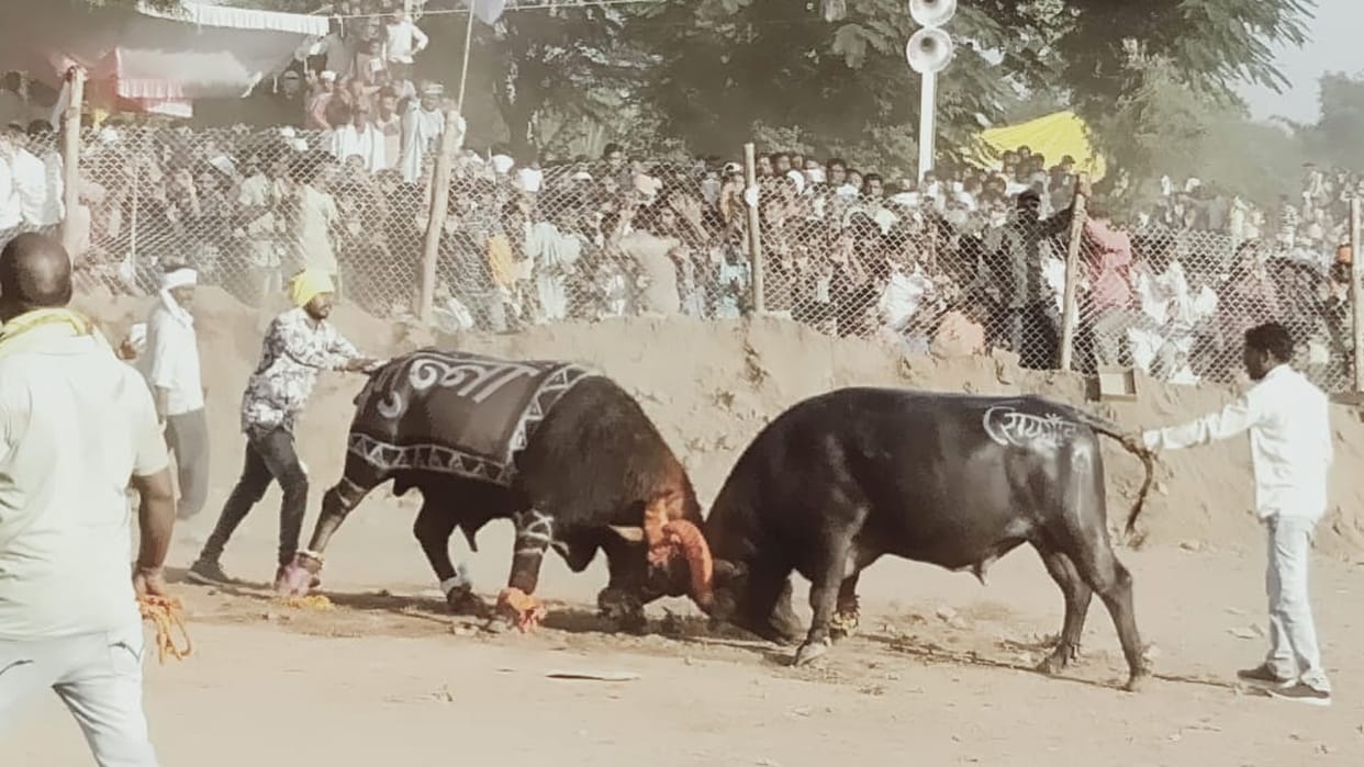 Scaffolds compete in Burhanpur fair organizers have been booked under section 188