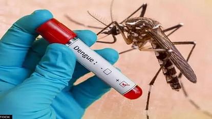 Aligarh News: जिले में पांच और डेंगू मरीज मिले, नौगवां में लगाया शिविर Five more dengue patients found in Aligarh