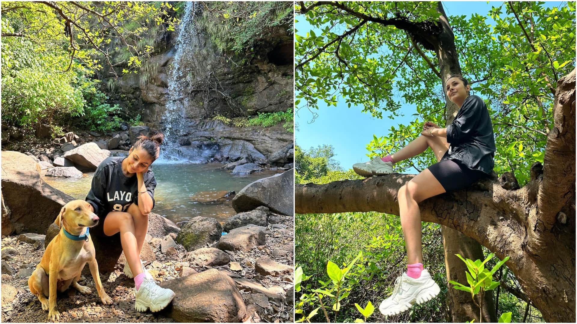Photos Of The Day: Rakul Preet Singh bold look shama sikander Avneet kaur kriti kharbanda shehnaaz gill