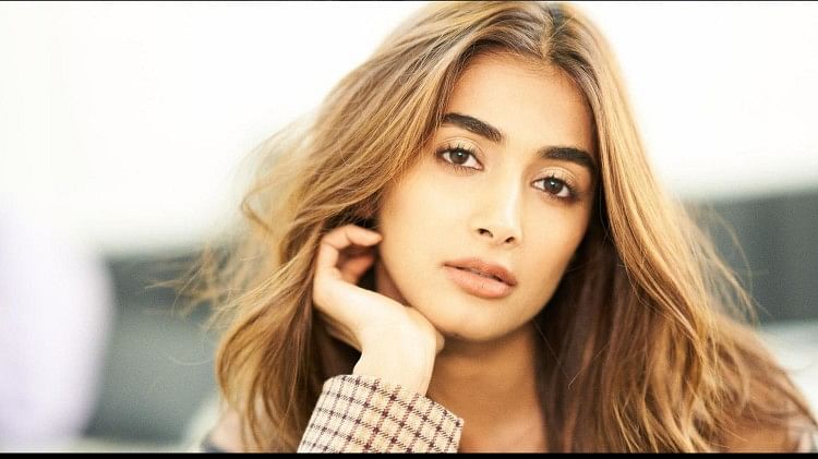 kisi ka bhai kisi ki jaan Actress pooja hegde reacted on user asked south movie or hindi movie read here