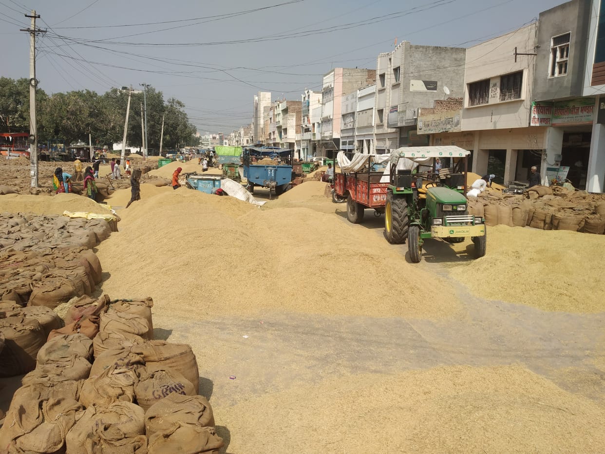 Paddy is getting one and a half lakh quintals daily, blocks through grain market