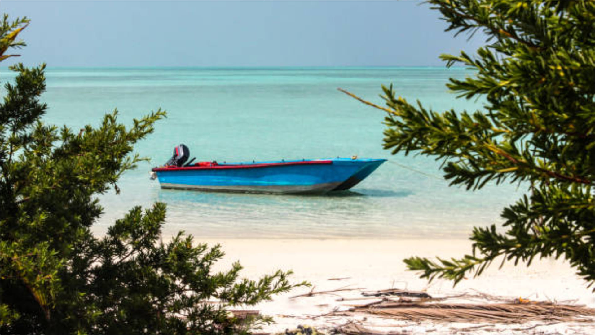 lakshadweep two beaches entered in blue beaches list must visit this beautiful place