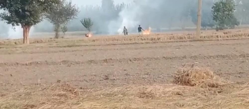 Video of burning stubble in the field goes viral